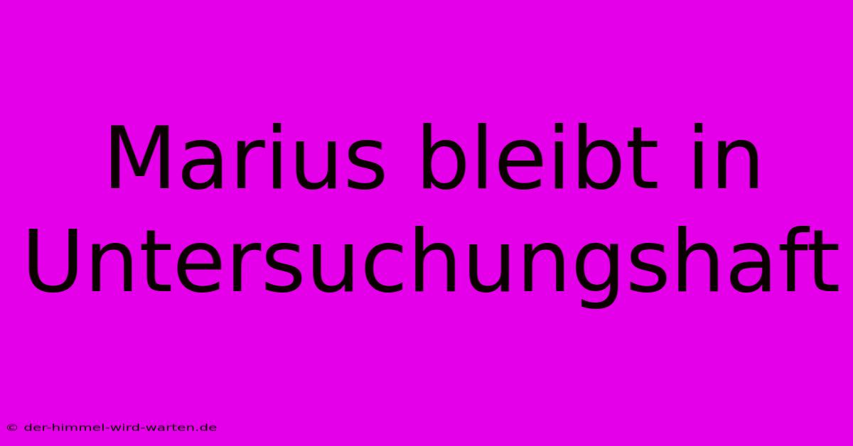 Marius Bleibt In Untersuchungshaft