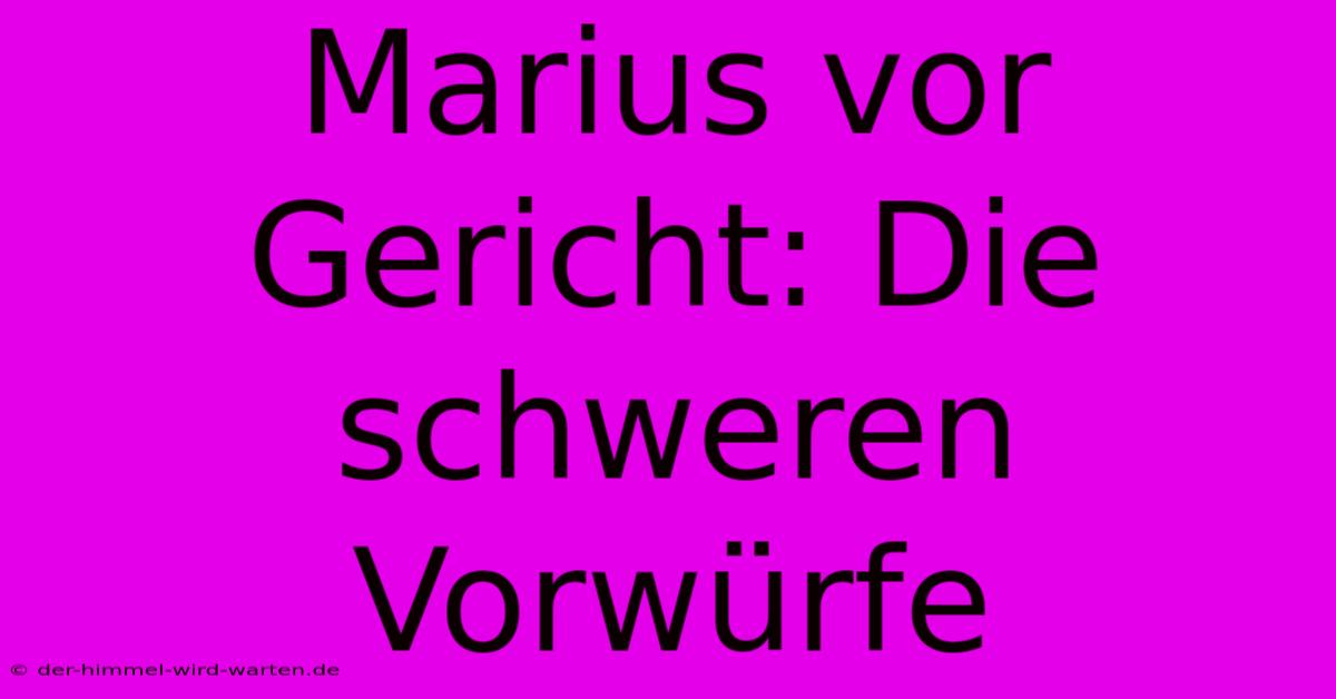 Marius Vor Gericht: Die Schweren Vorwürfe