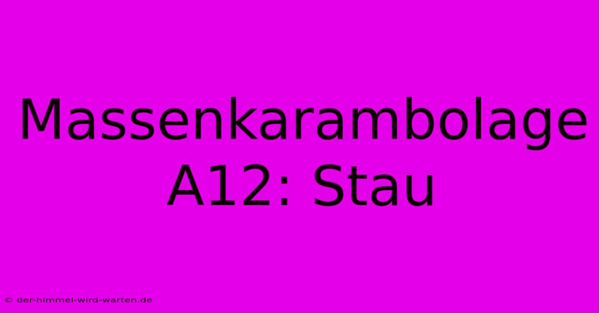 Massenkarambolage A12: Stau