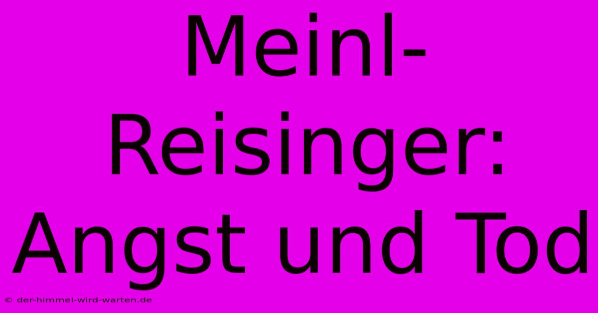 Meinl-Reisinger: Angst Und Tod