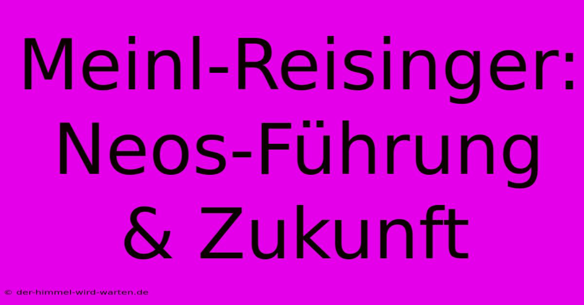 Meinl-Reisinger: Neos-Führung & Zukunft