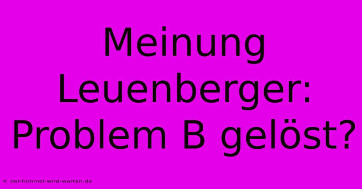 Meinung Leuenberger:  Problem B Gelöst?