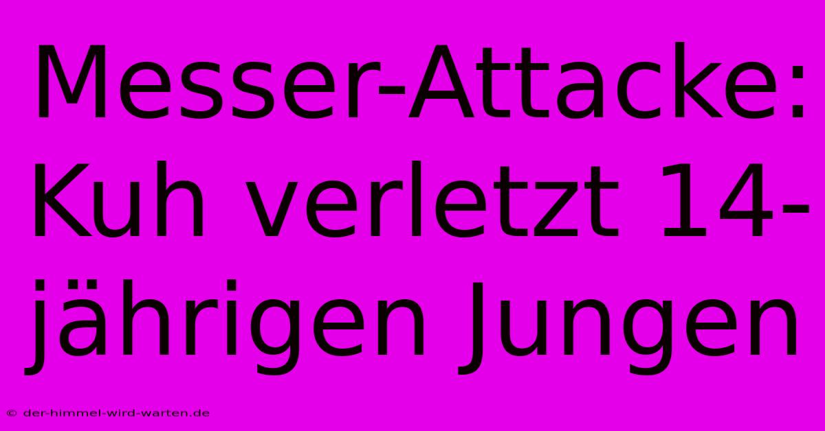 Messer-Attacke: Kuh Verletzt 14-jährigen Jungen