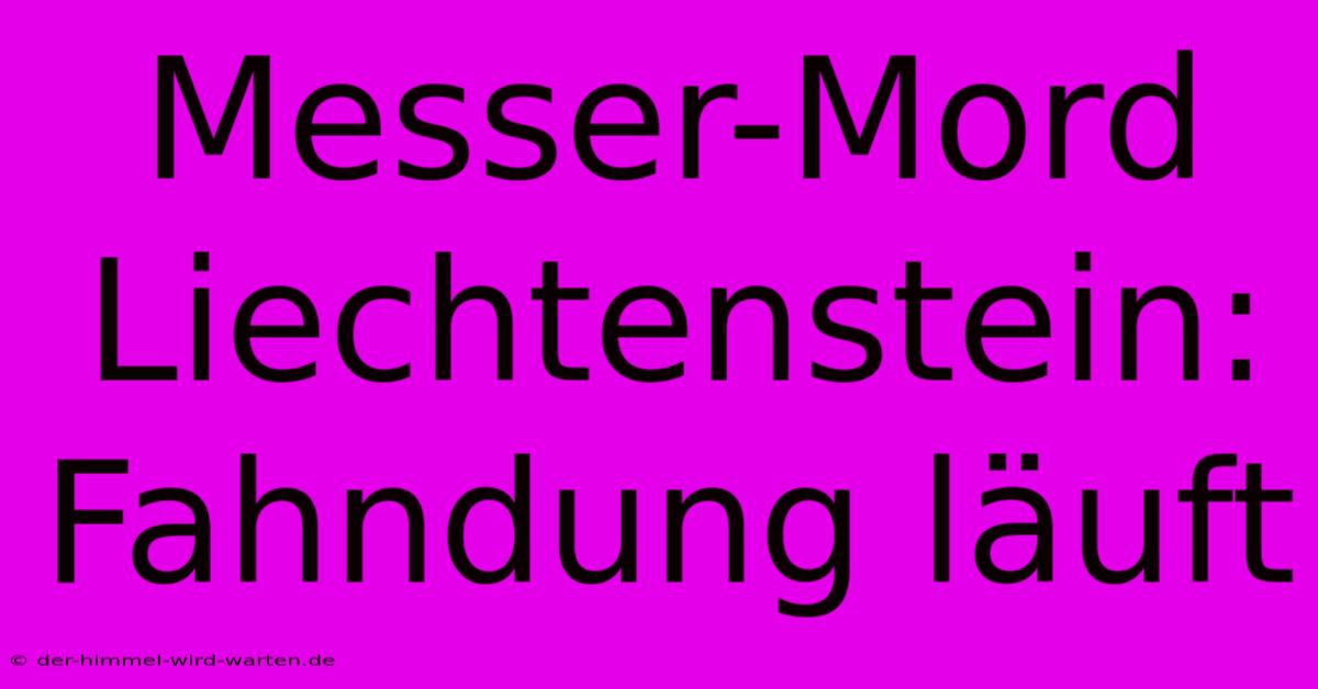 Messer-Mord Liechtenstein: Fahndung Läuft