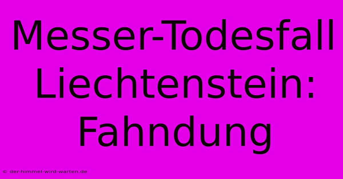 Messer-Todesfall Liechtenstein: Fahndung