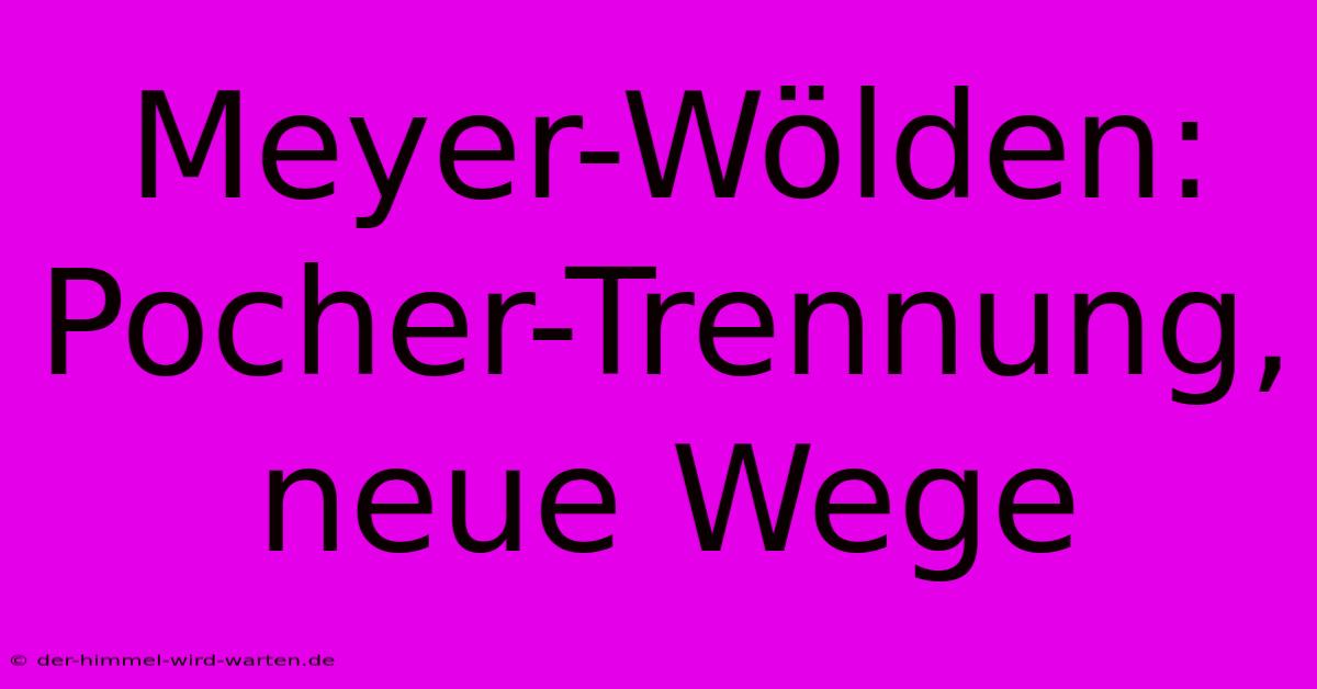 Meyer-Wölden: Pocher-Trennung, Neue Wege