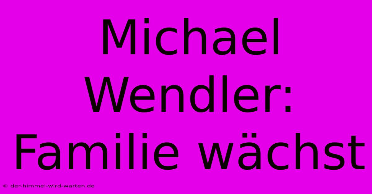 Michael Wendler: Familie Wächst