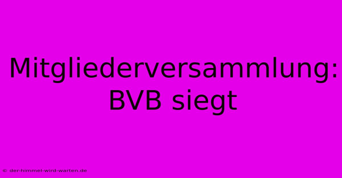 Mitgliederversammlung: BVB Siegt