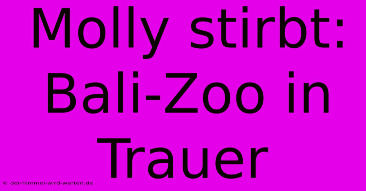 Molly Stirbt: Bali-Zoo In Trauer