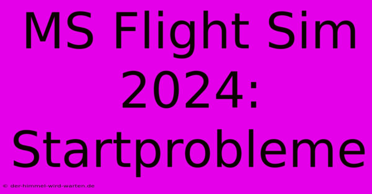 MS Flight Sim 2024: Startprobleme