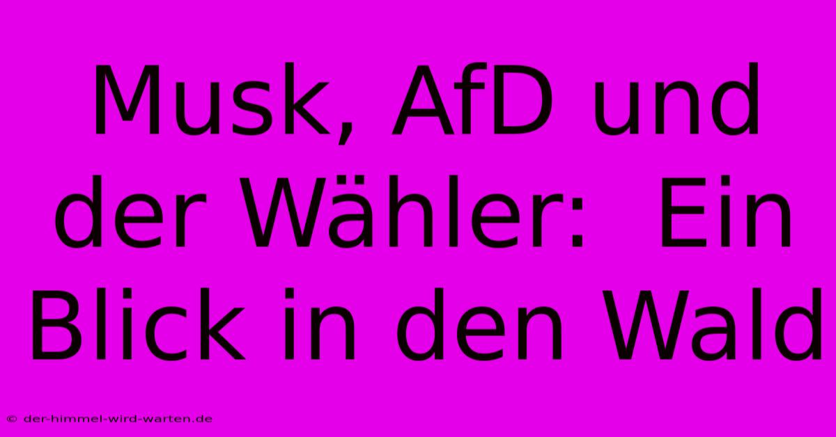 Musk, AfD Und Der Wähler:  Ein Blick In Den Wald