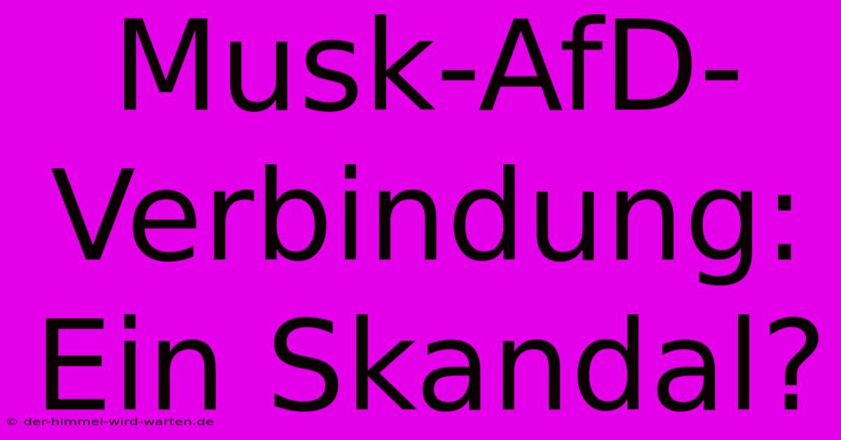 Musk-AfD-Verbindung:  Ein Skandal?