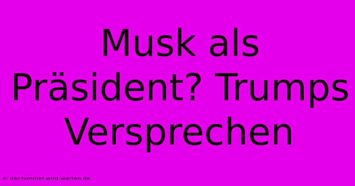 Musk Als Präsident? Trumps Versprechen