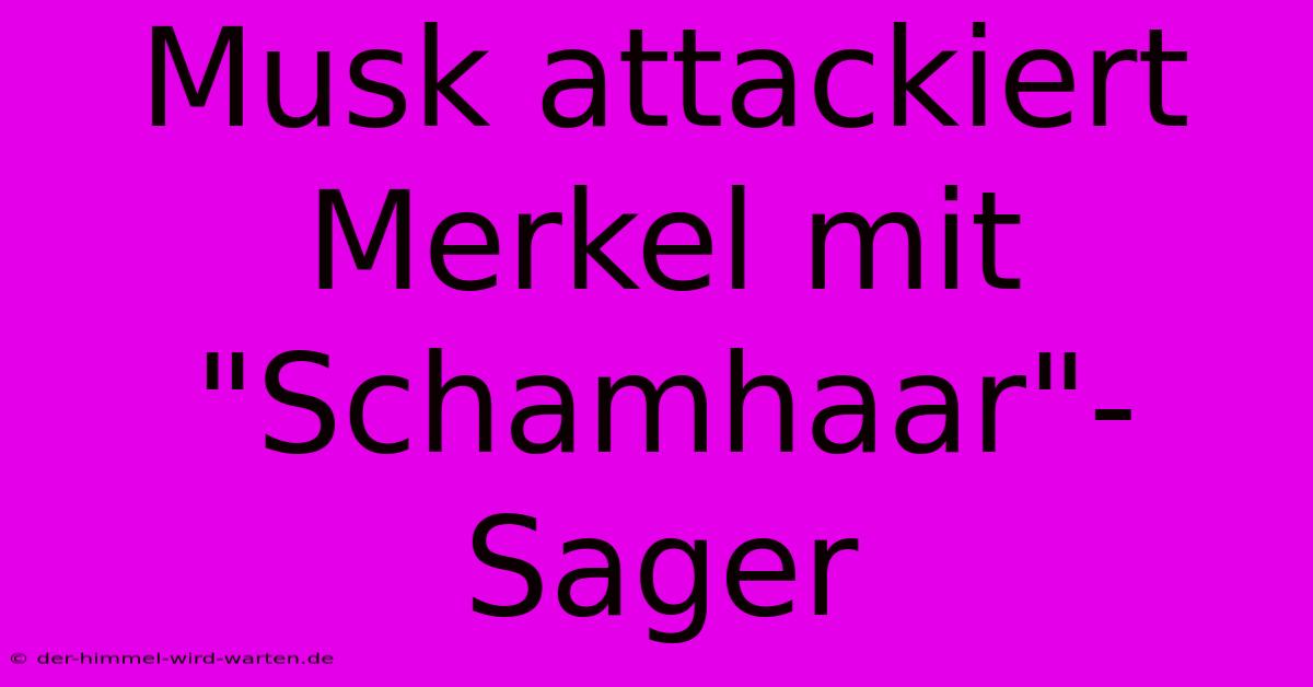 Musk Attackiert Merkel Mit 