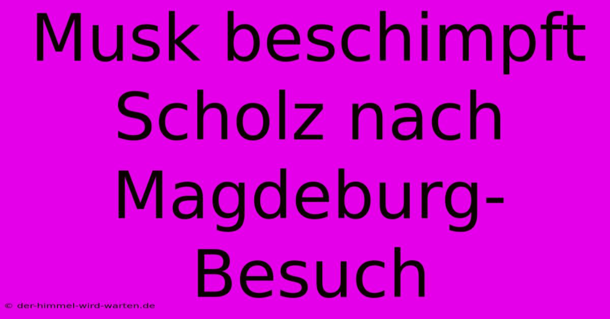 Musk Beschimpft Scholz Nach Magdeburg-Besuch