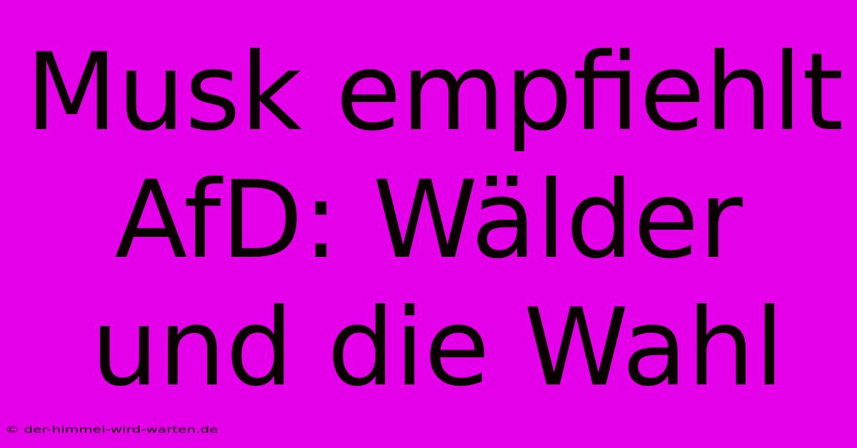 Musk Empfiehlt AfD: Wälder Und Die Wahl