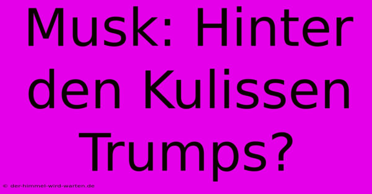 Musk: Hinter Den Kulissen Trumps?