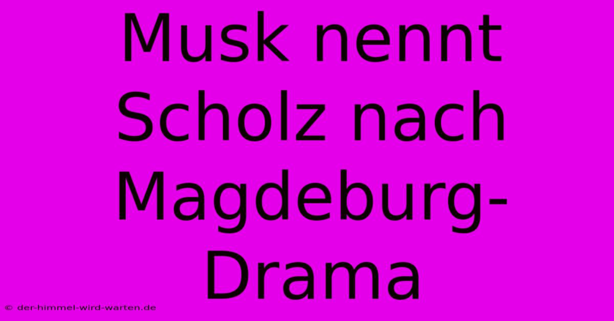 Musk Nennt Scholz Nach Magdeburg-Drama