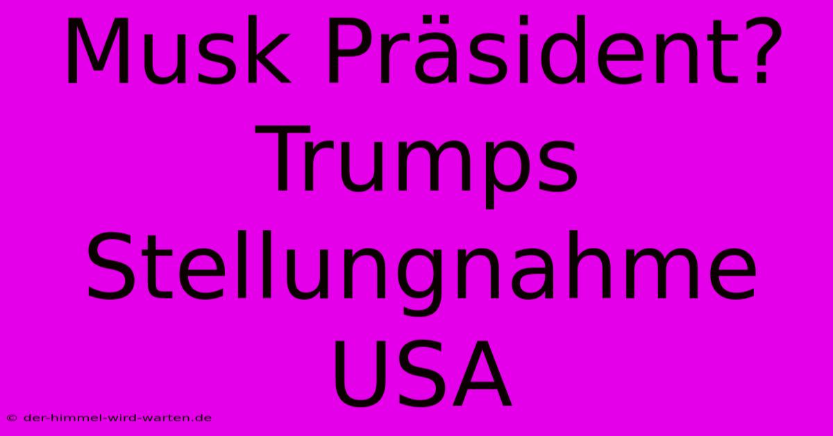 Musk Präsident? Trumps Stellungnahme USA