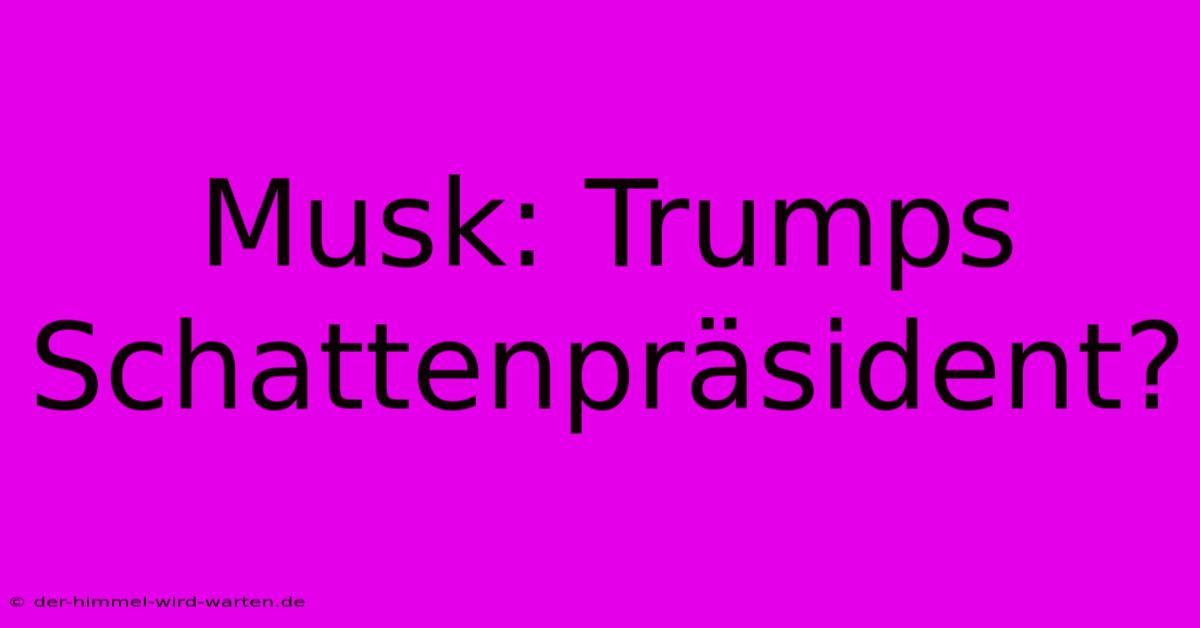 Musk: Trumps Schattenpräsident?