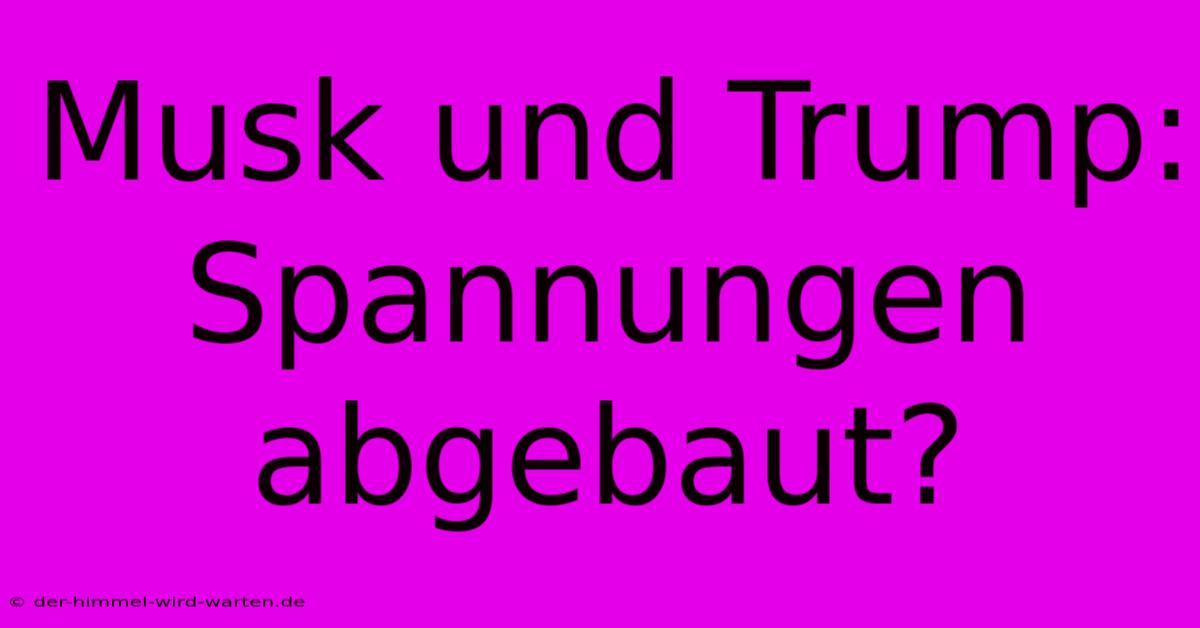 Musk Und Trump:  Spannungen Abgebaut?