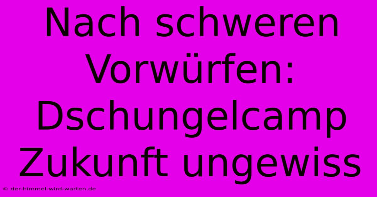 Nach Schweren Vorwürfen: Dschungelcamp Zukunft Ungewiss