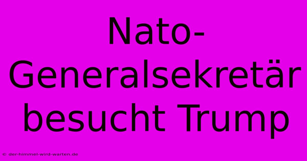 Nato-Generalsekretär Besucht Trump