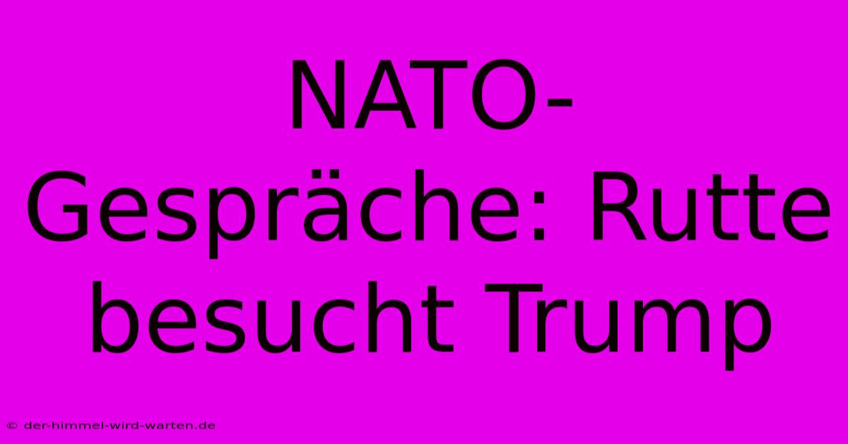 NATO-Gespräche: Rutte Besucht Trump