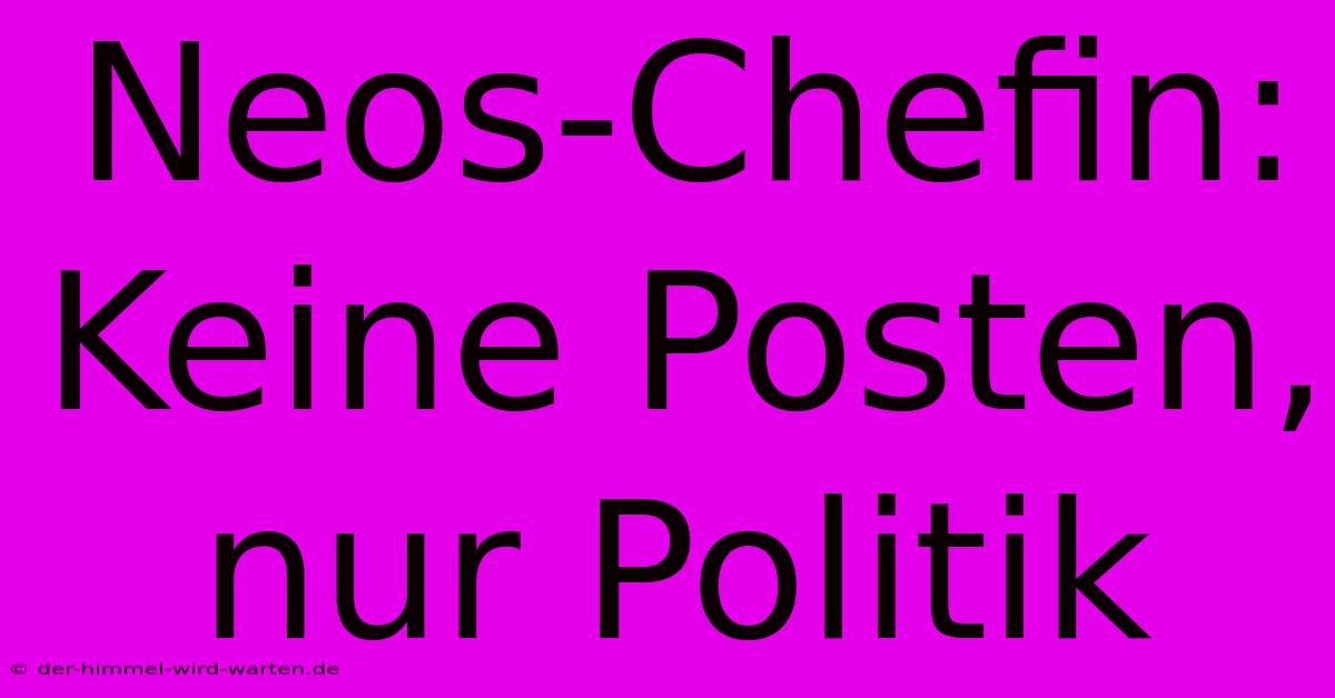 Neos-Chefin:  Keine Posten, Nur Politik