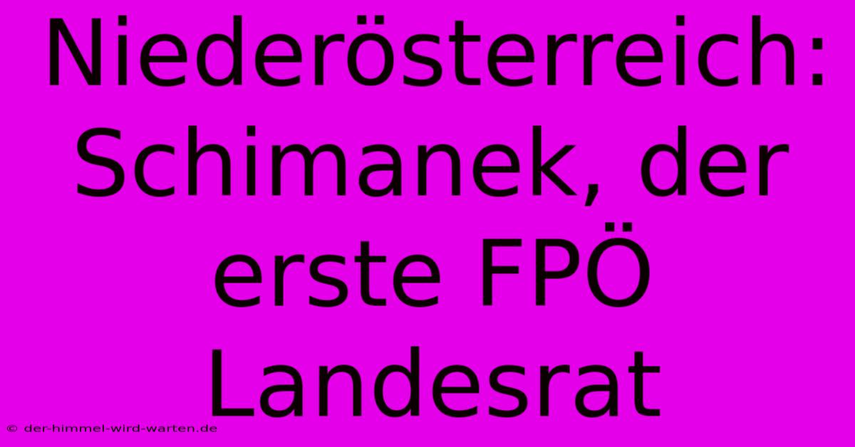 Niederösterreich: Schimanek, Der Erste FPÖ Landesrat