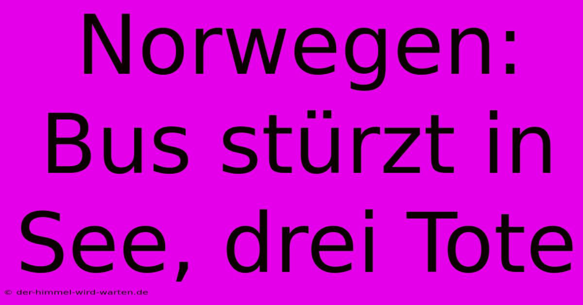 Norwegen: Bus Stürzt In See, Drei Tote