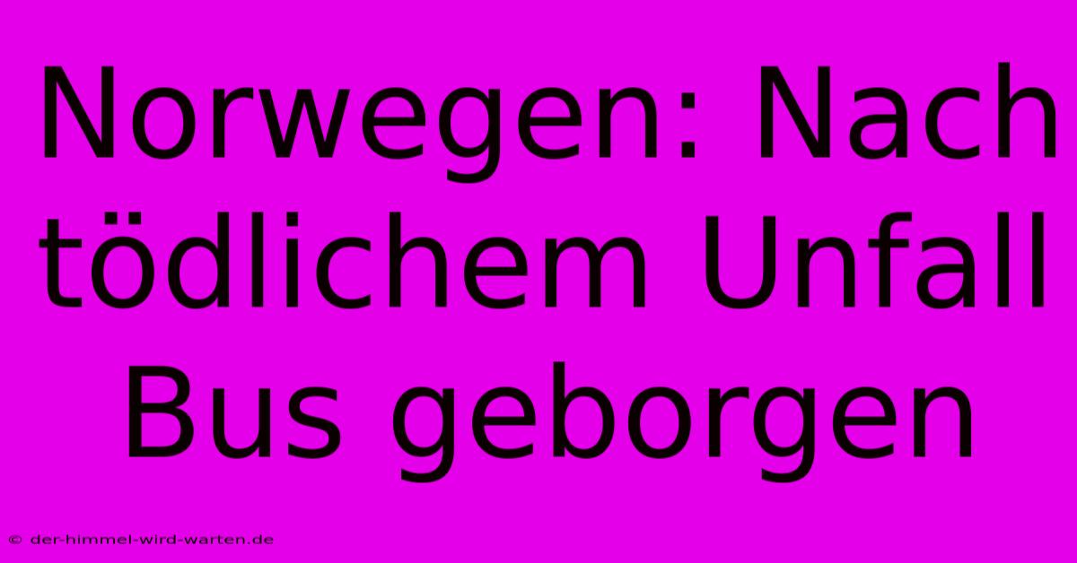 Norwegen: Nach Tödlichem Unfall Bus Geborgen