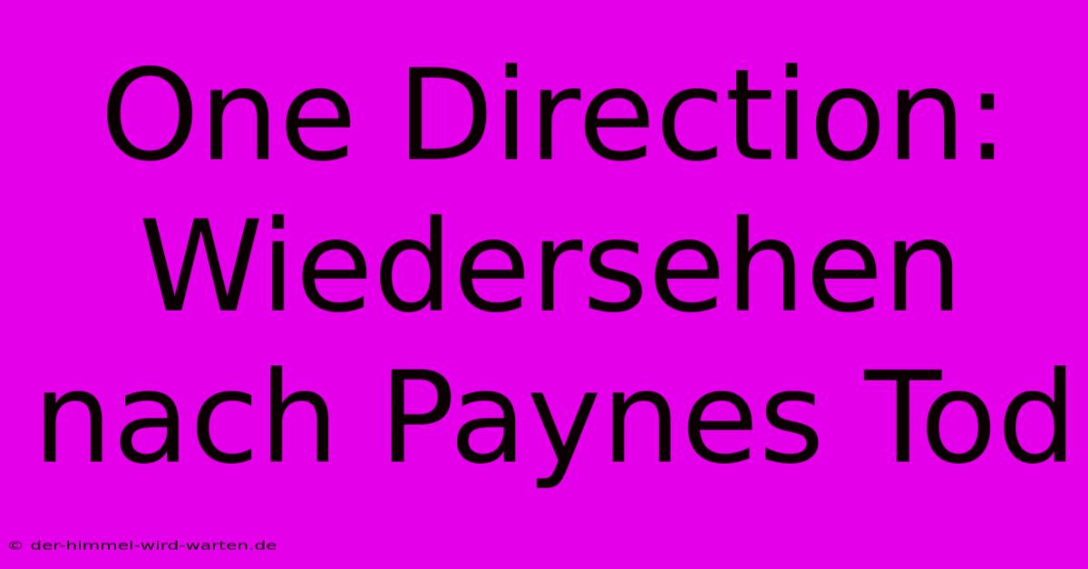 One Direction: Wiedersehen Nach Paynes Tod