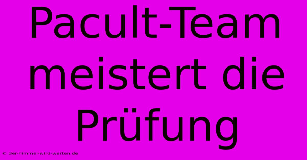 Pacult-Team Meistert Die Prüfung