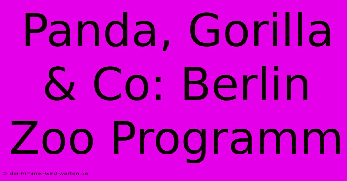 Panda, Gorilla & Co: Berlin Zoo Programm