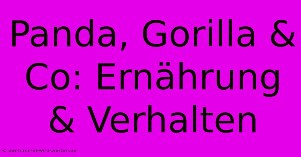 Panda, Gorilla & Co: Ernährung & Verhalten