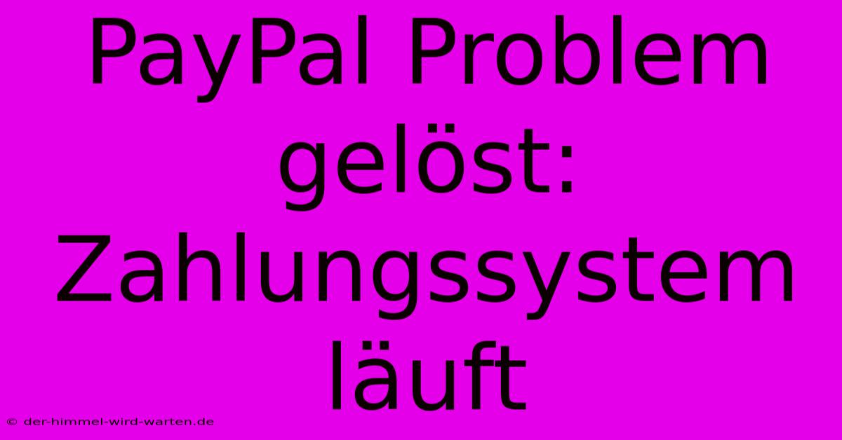 PayPal Problem Gelöst: Zahlungssystem Läuft