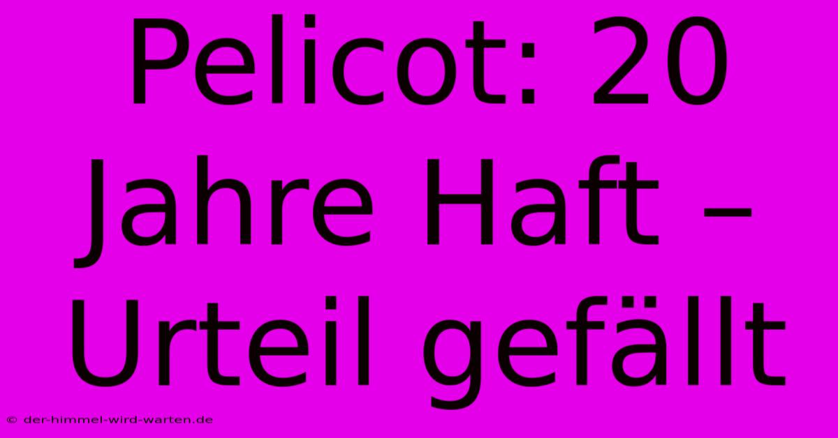 Pelicot: 20 Jahre Haft – Urteil Gefällt