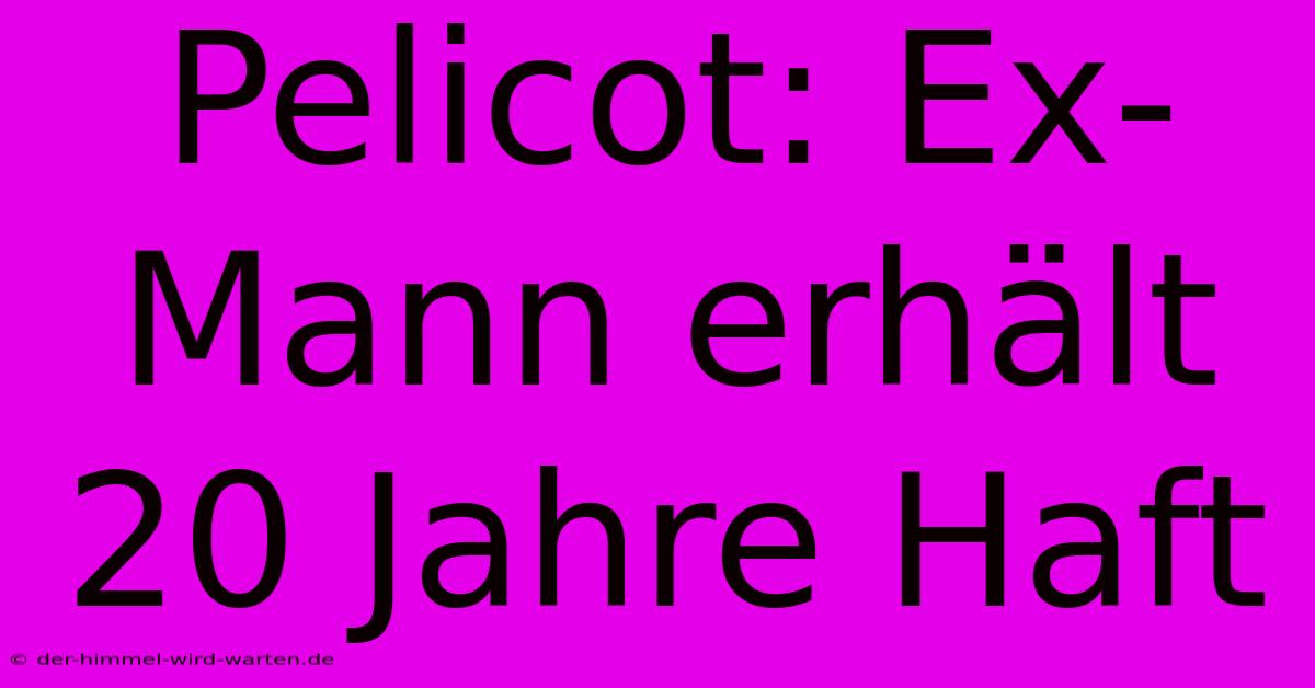 Pelicot: Ex-Mann Erhält 20 Jahre Haft