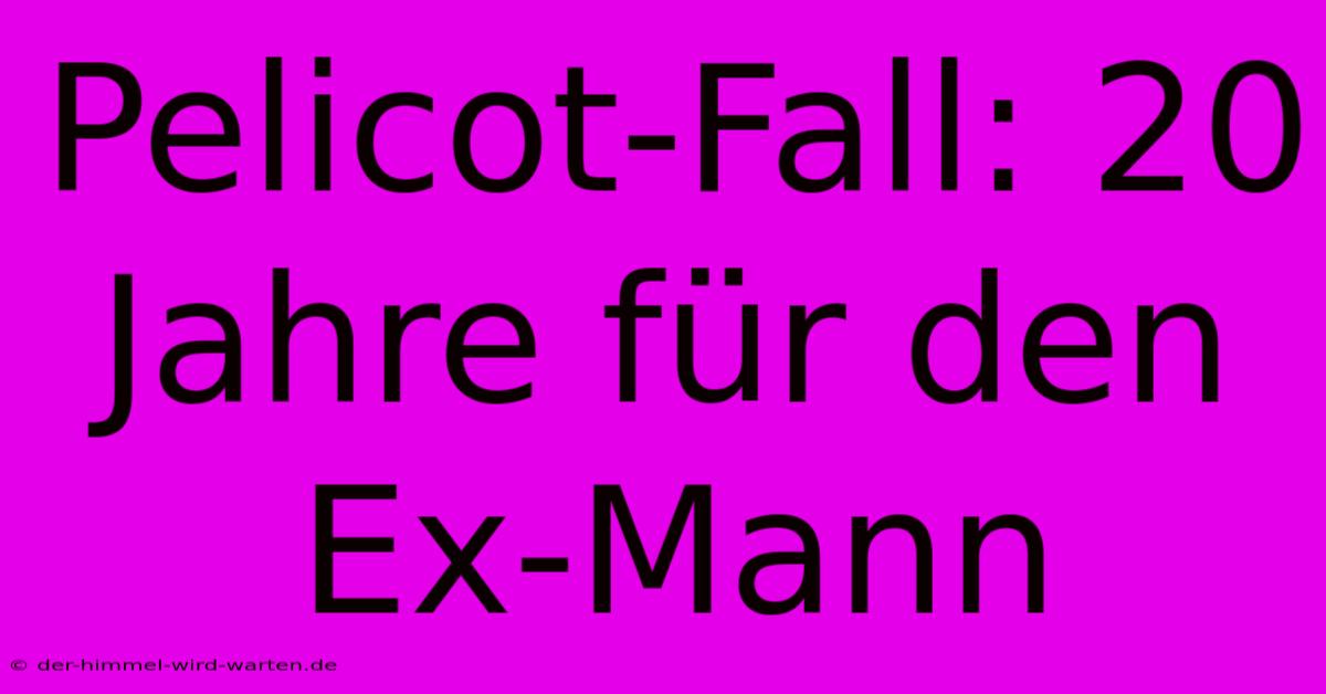 Pelicot-Fall: 20 Jahre Für Den Ex-Mann