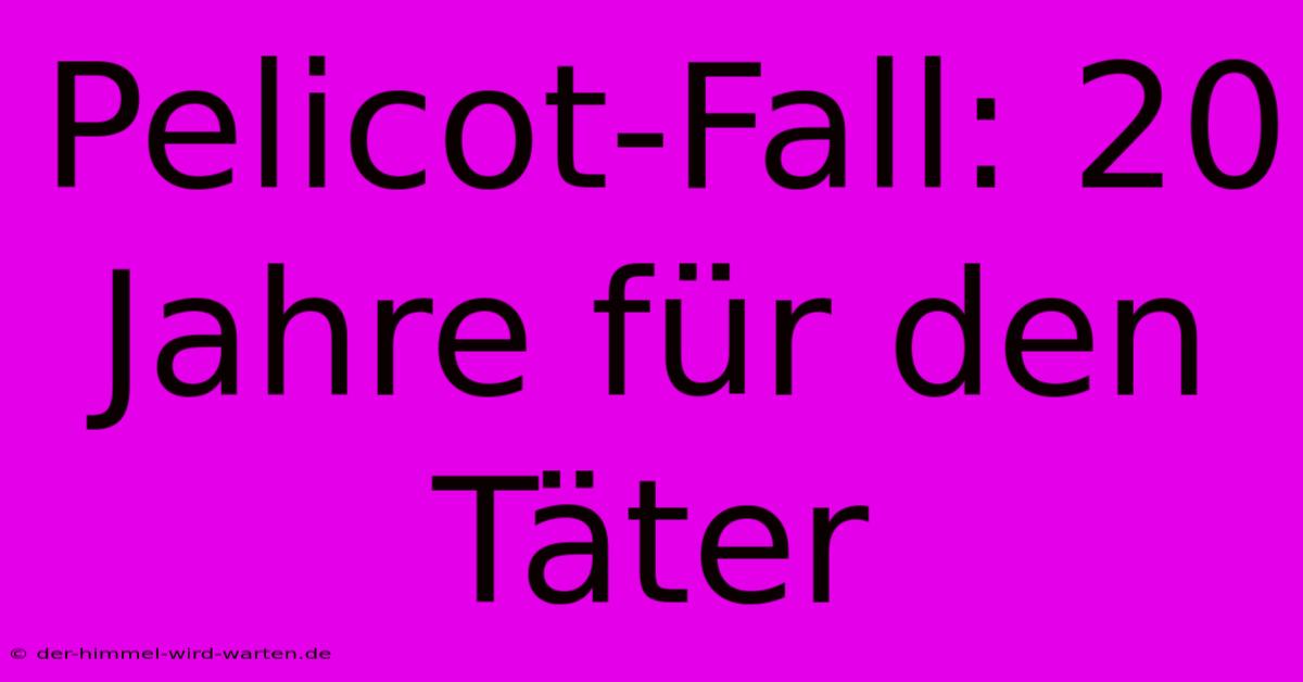 Pelicot-Fall: 20 Jahre Für Den Täter