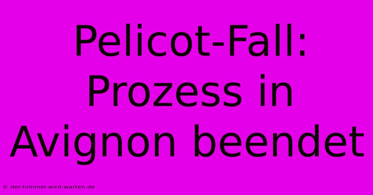 Pelicot-Fall: Prozess In Avignon Beendet