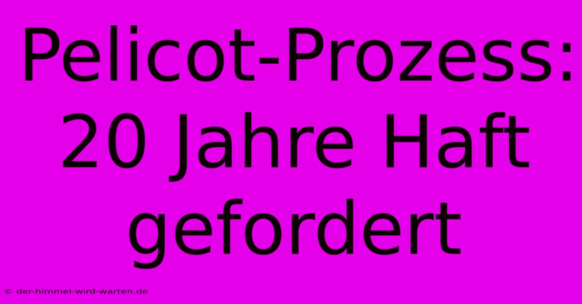 Pelicot-Prozess: 20 Jahre Haft Gefordert