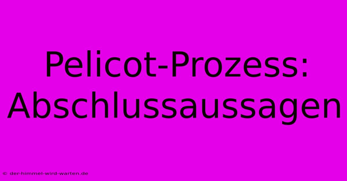 Pelicot-Prozess: Abschlussaussagen