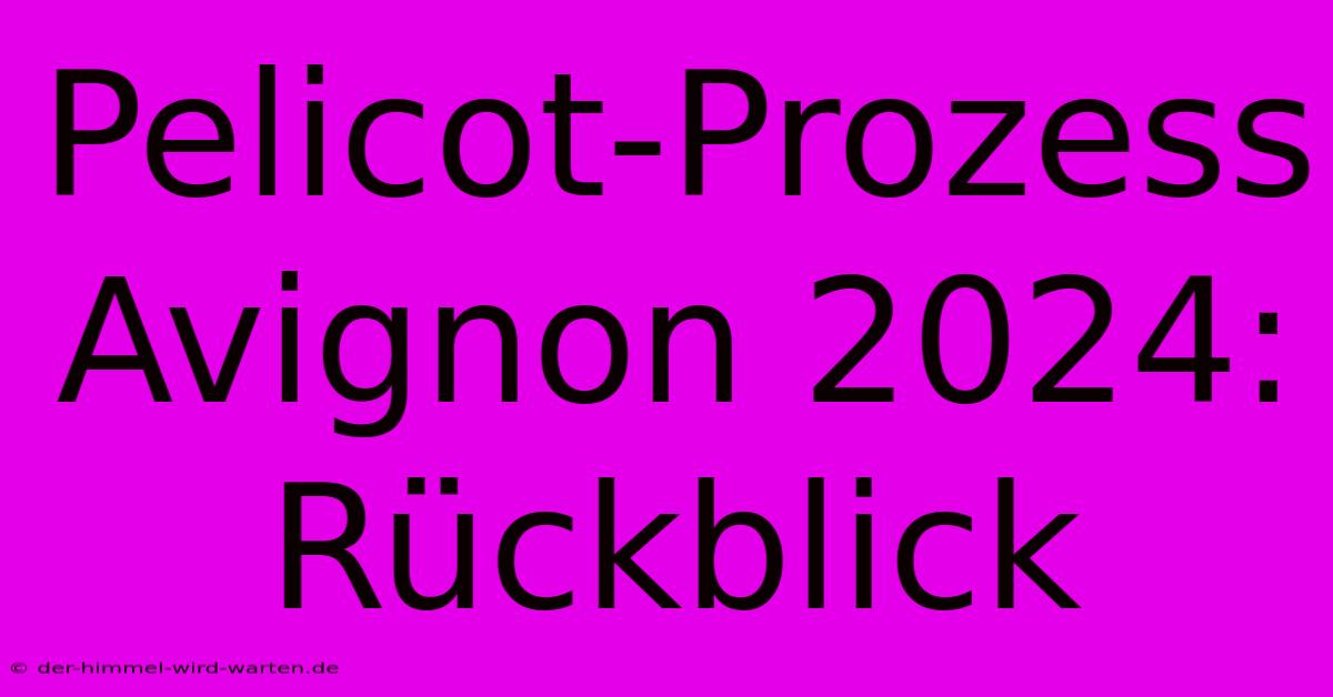 Pelicot-Prozess Avignon 2024: Rückblick