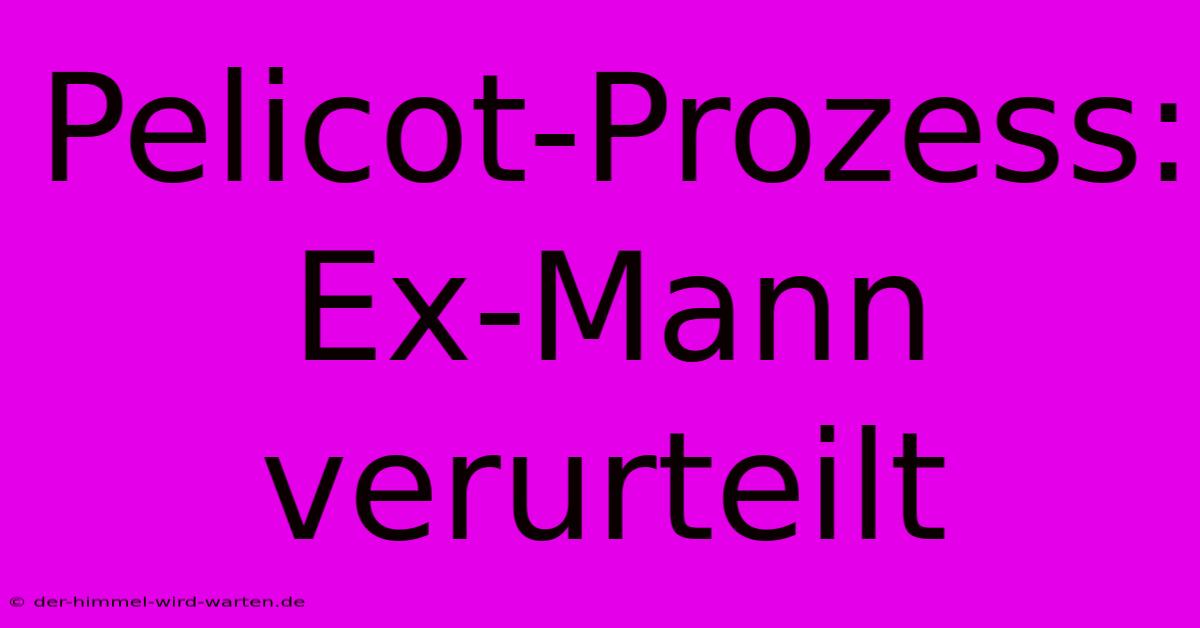 Pelicot-Prozess: Ex-Mann Verurteilt