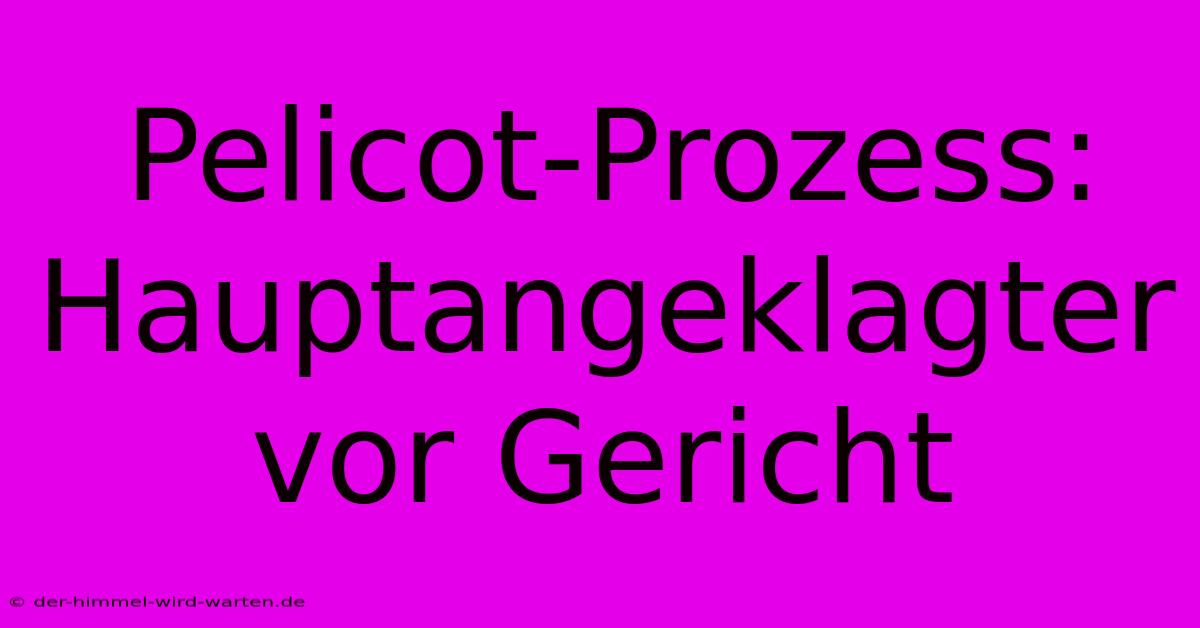 Pelicot-Prozess: Hauptangeklagter Vor Gericht