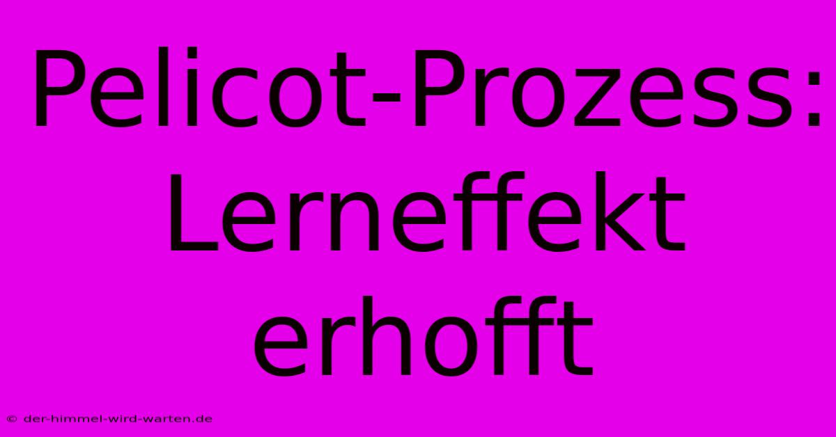 Pelicot-Prozess:  Lerneffekt Erhofft