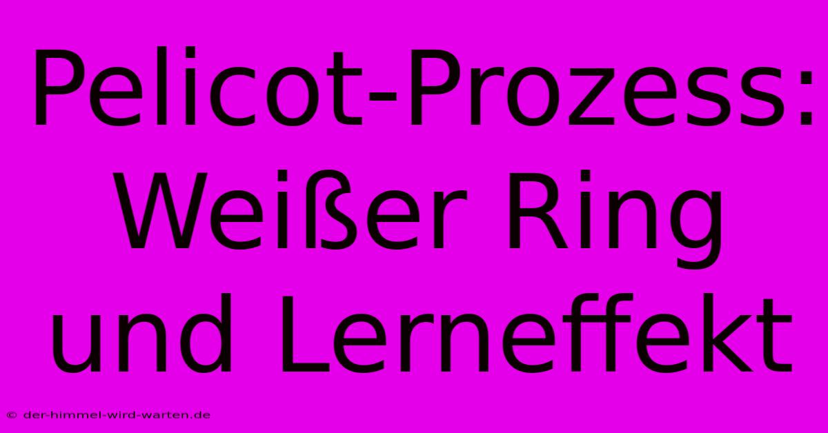 Pelicot-Prozess:  Weißer Ring Und Lerneffekt