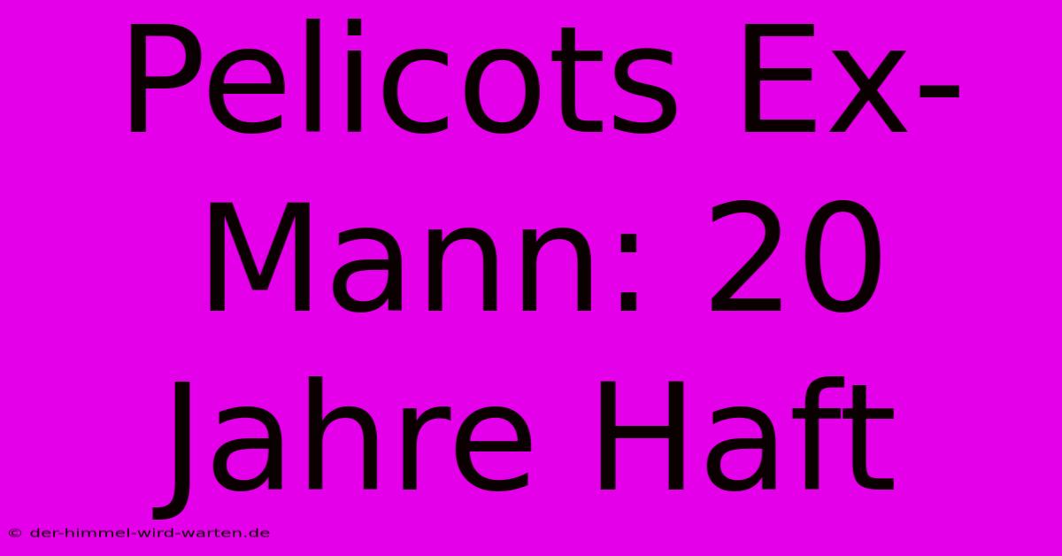 Pelicots Ex-Mann: 20 Jahre Haft